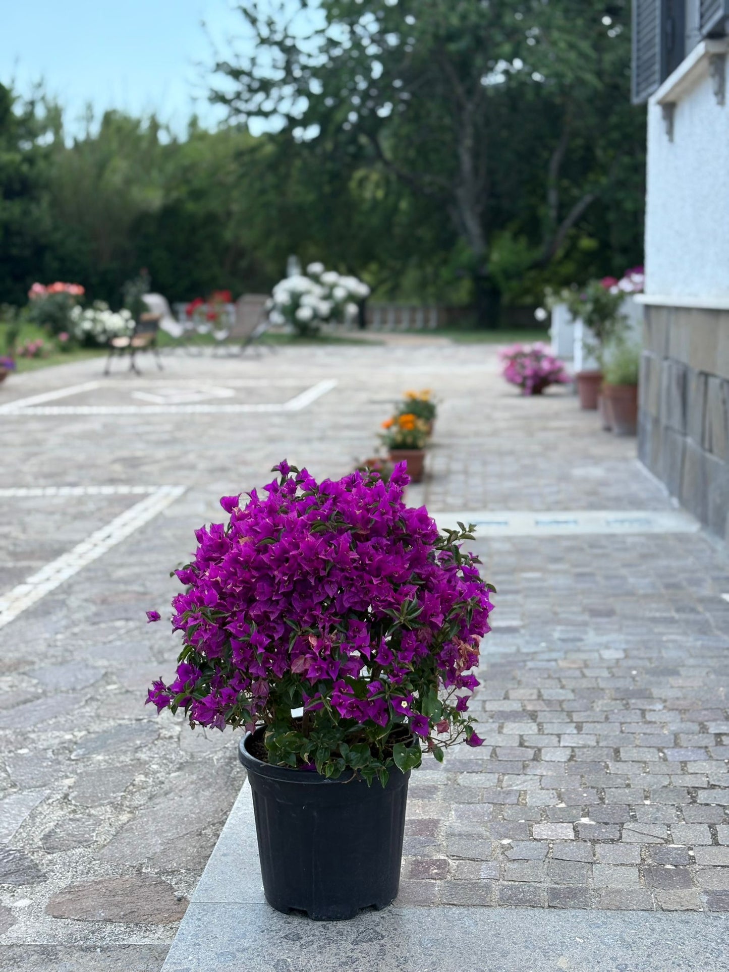 La Villa